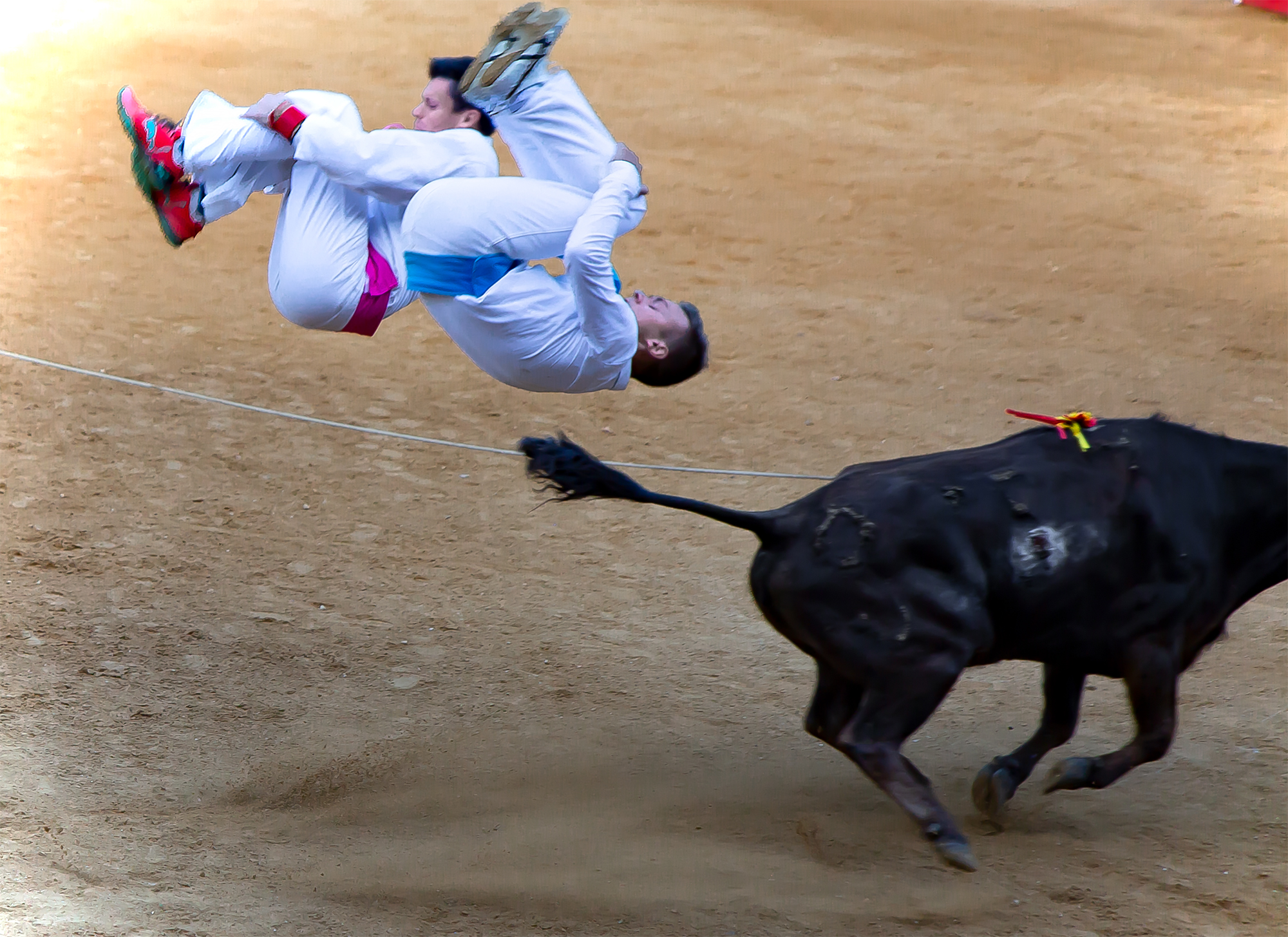 6bis Double saut périlleux suite 1bis 140718.jpg