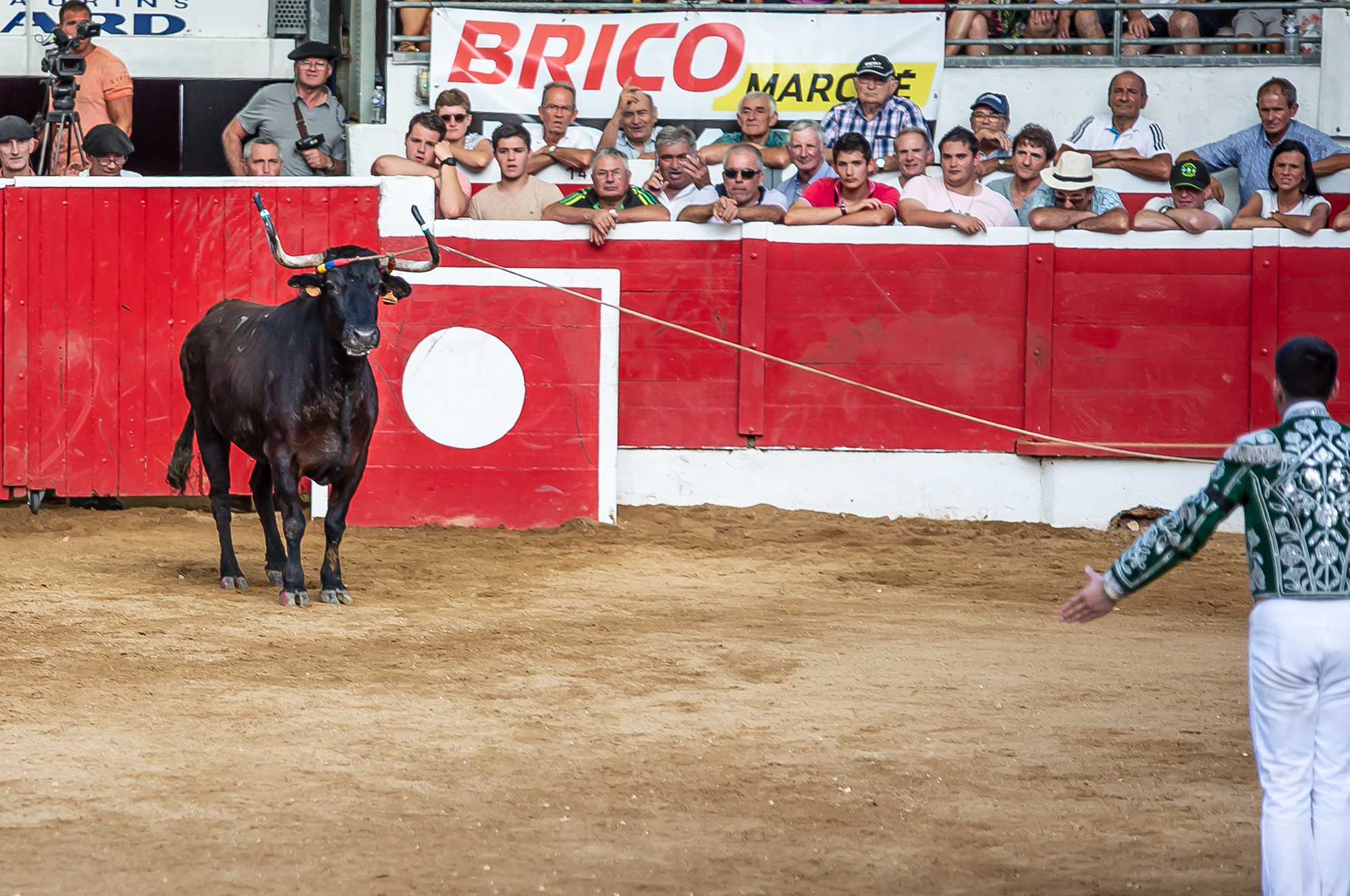 18 Vache récalcitrante 1bis 140718.jpg