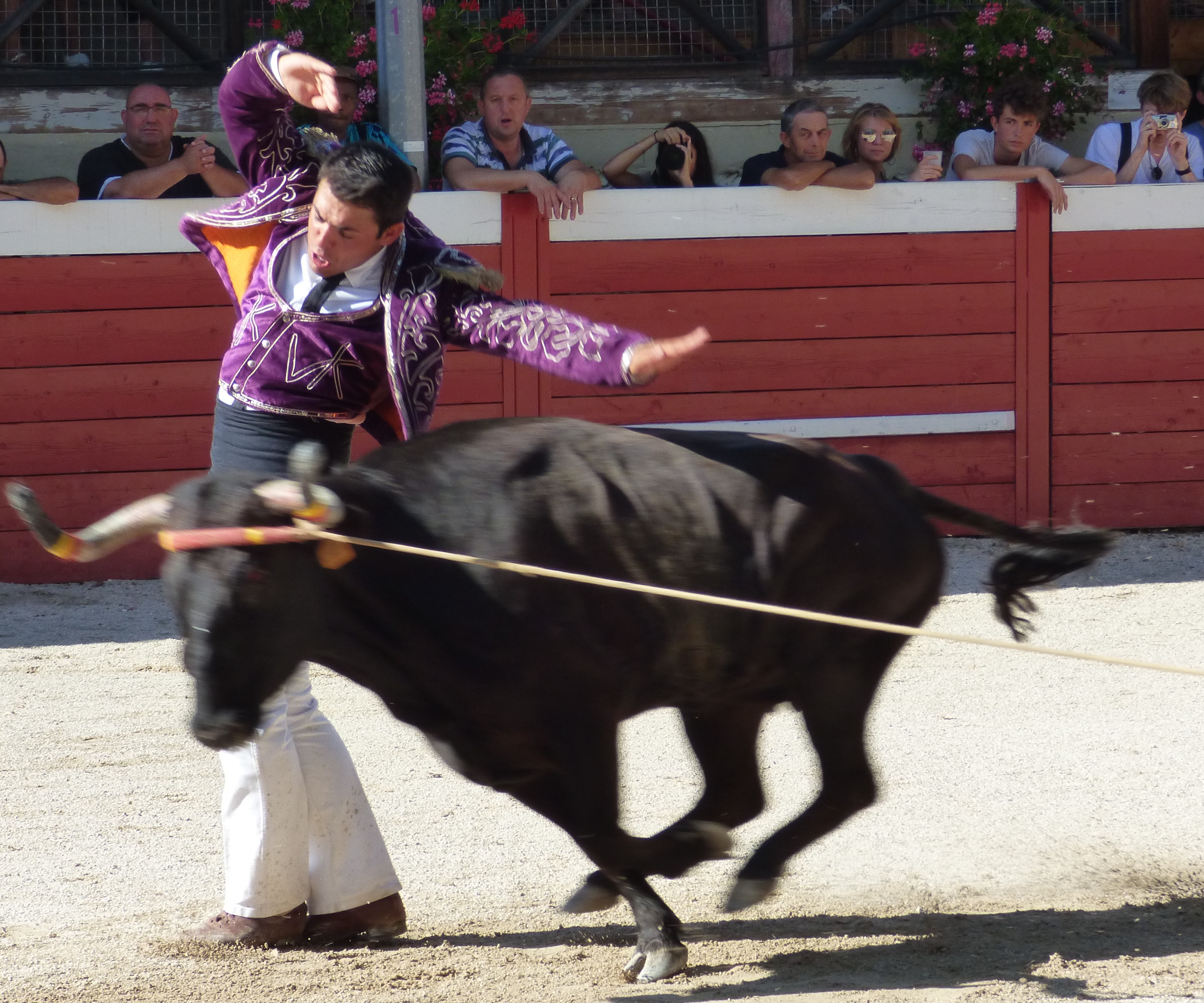P1050228.JPG