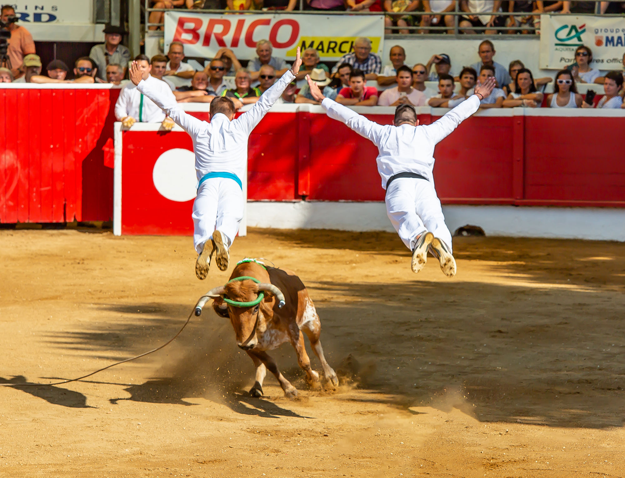 Saut de l'ange à 2 Nogaro 1bis 140718.jpg