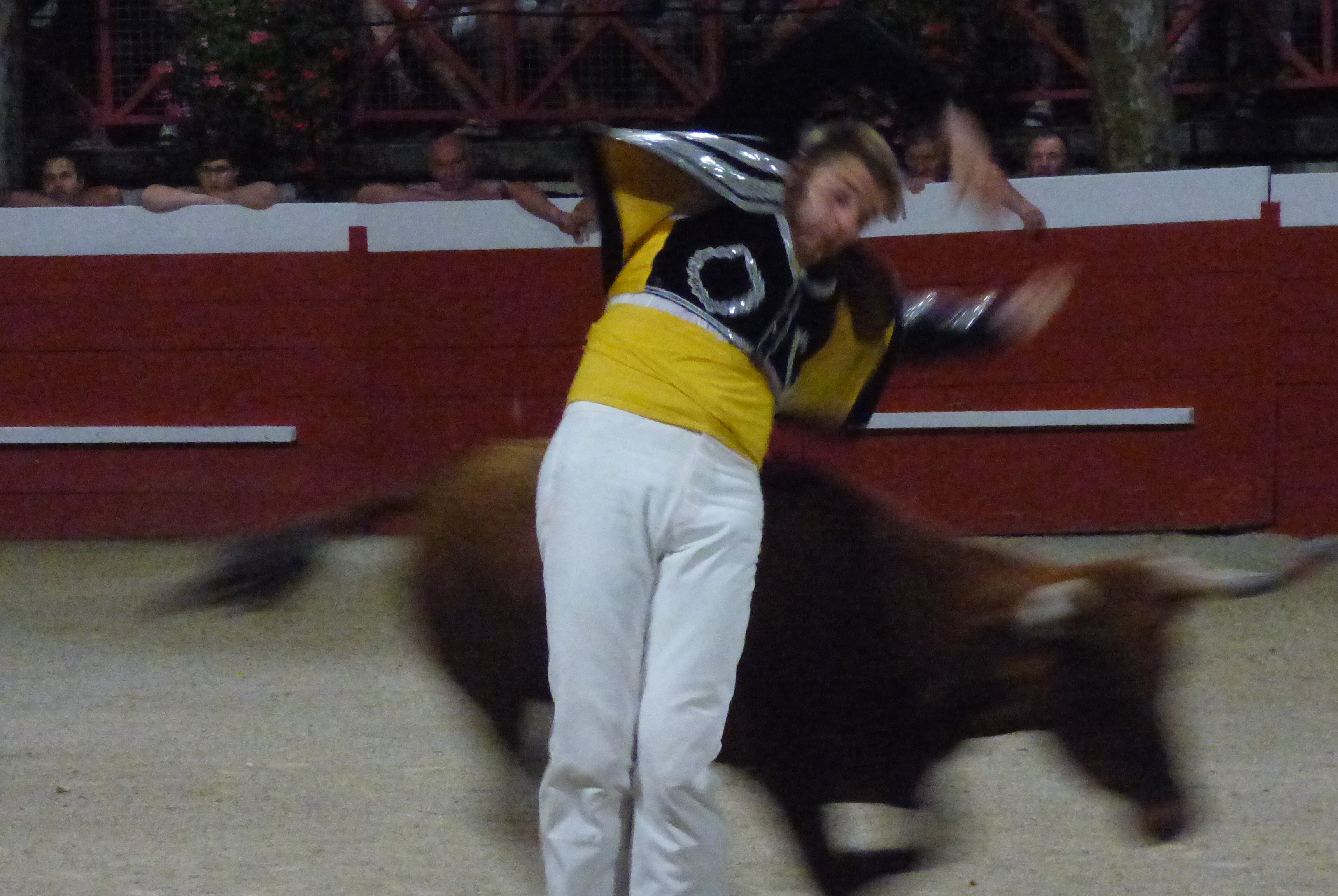 P1050321.JPG