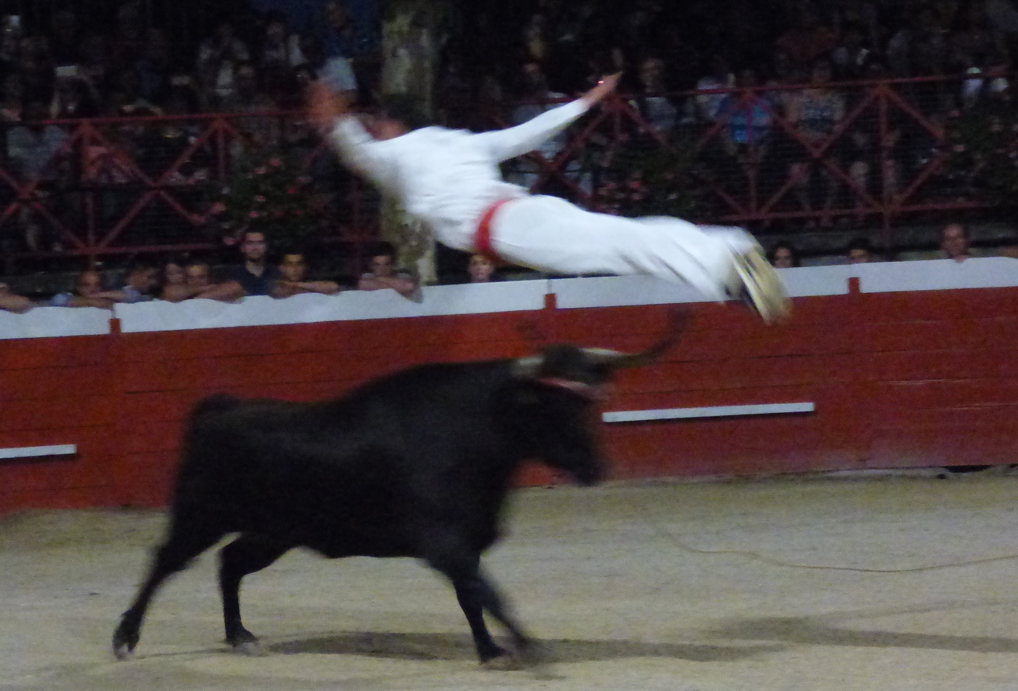 P1050315.JPG