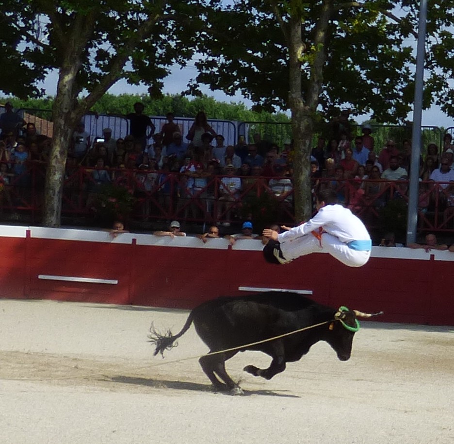 P1050605.JPG