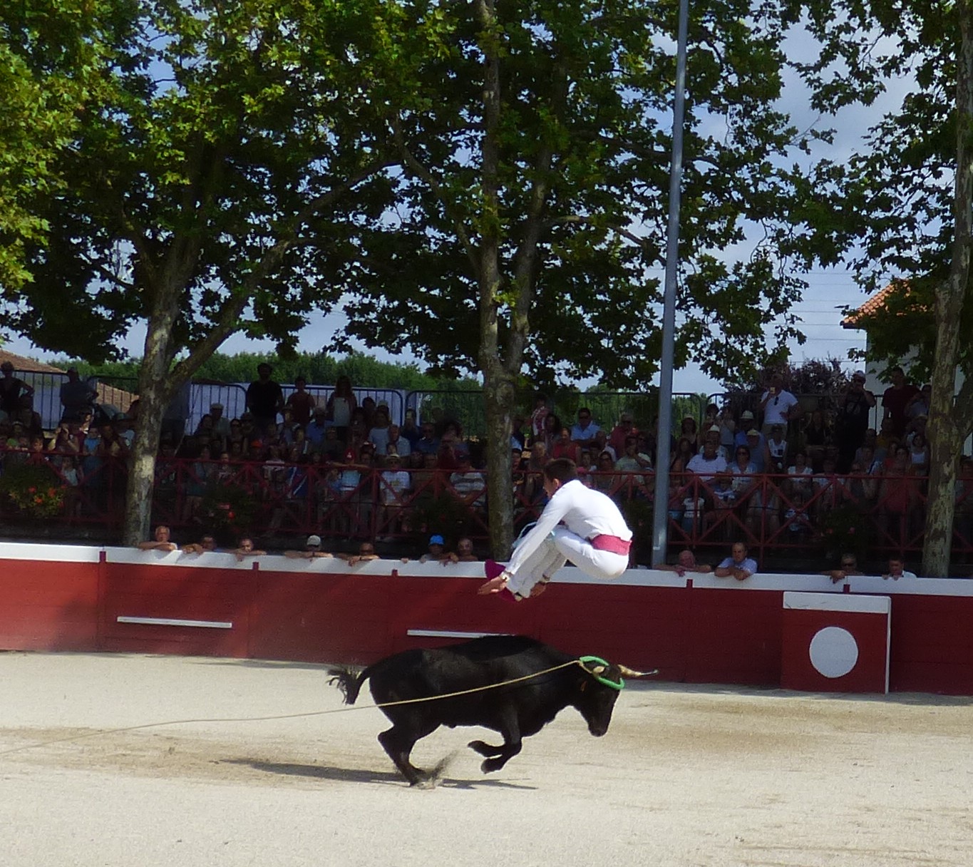 P1050603.JPG