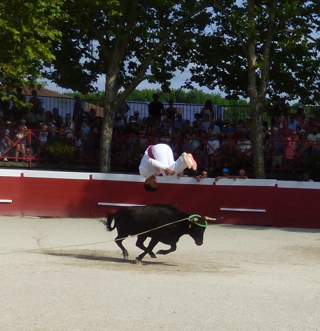 P1050607.JPG