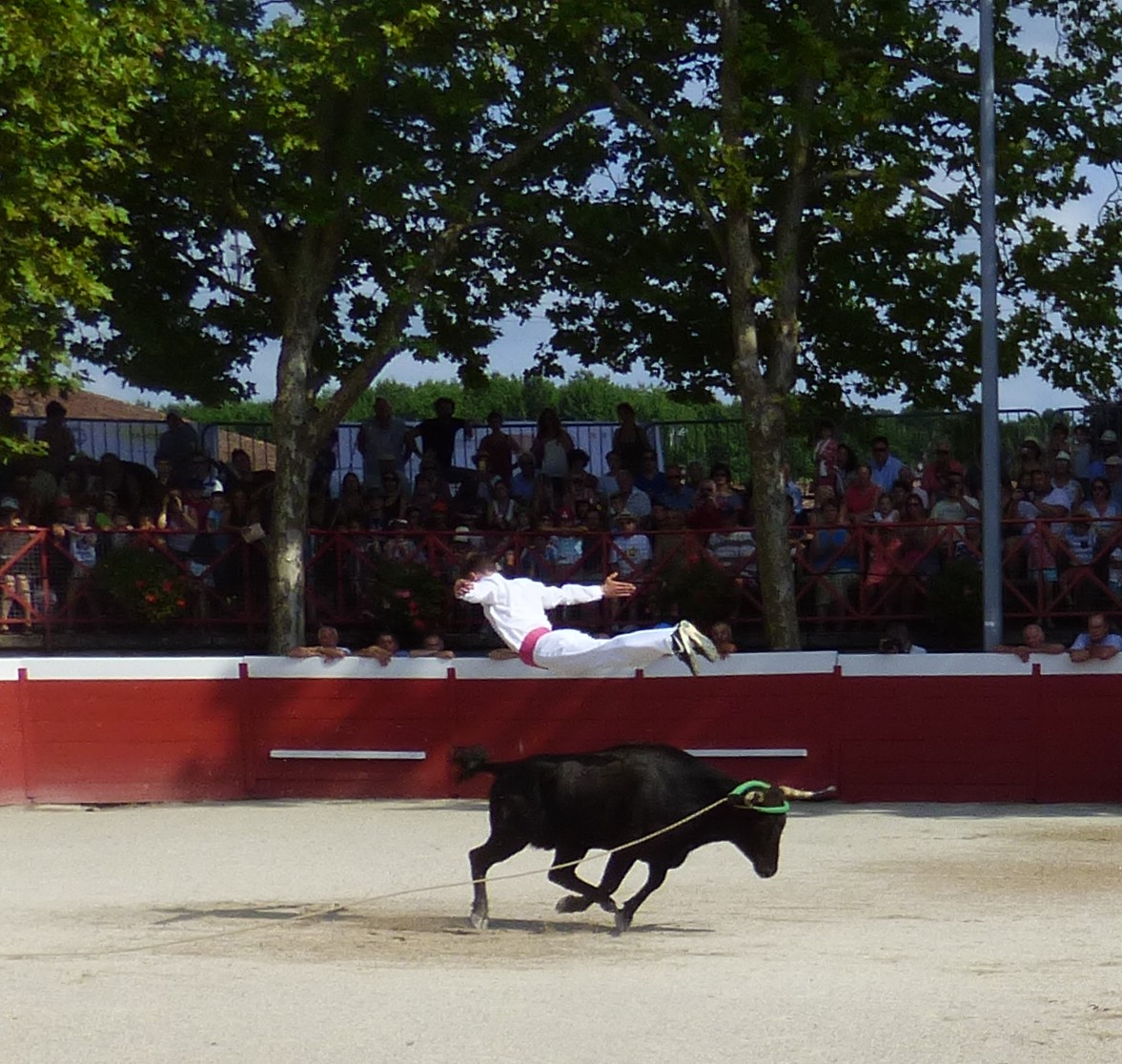 P1050600.JPG