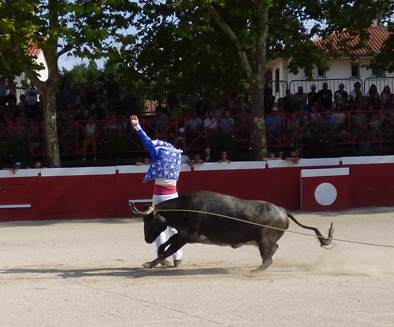 P1050619.JPG