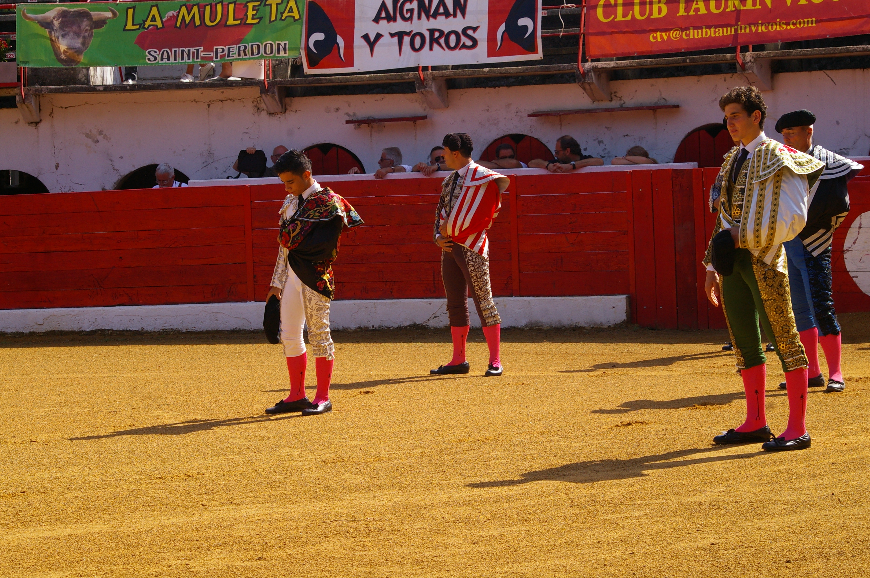IMGP6646.JPG