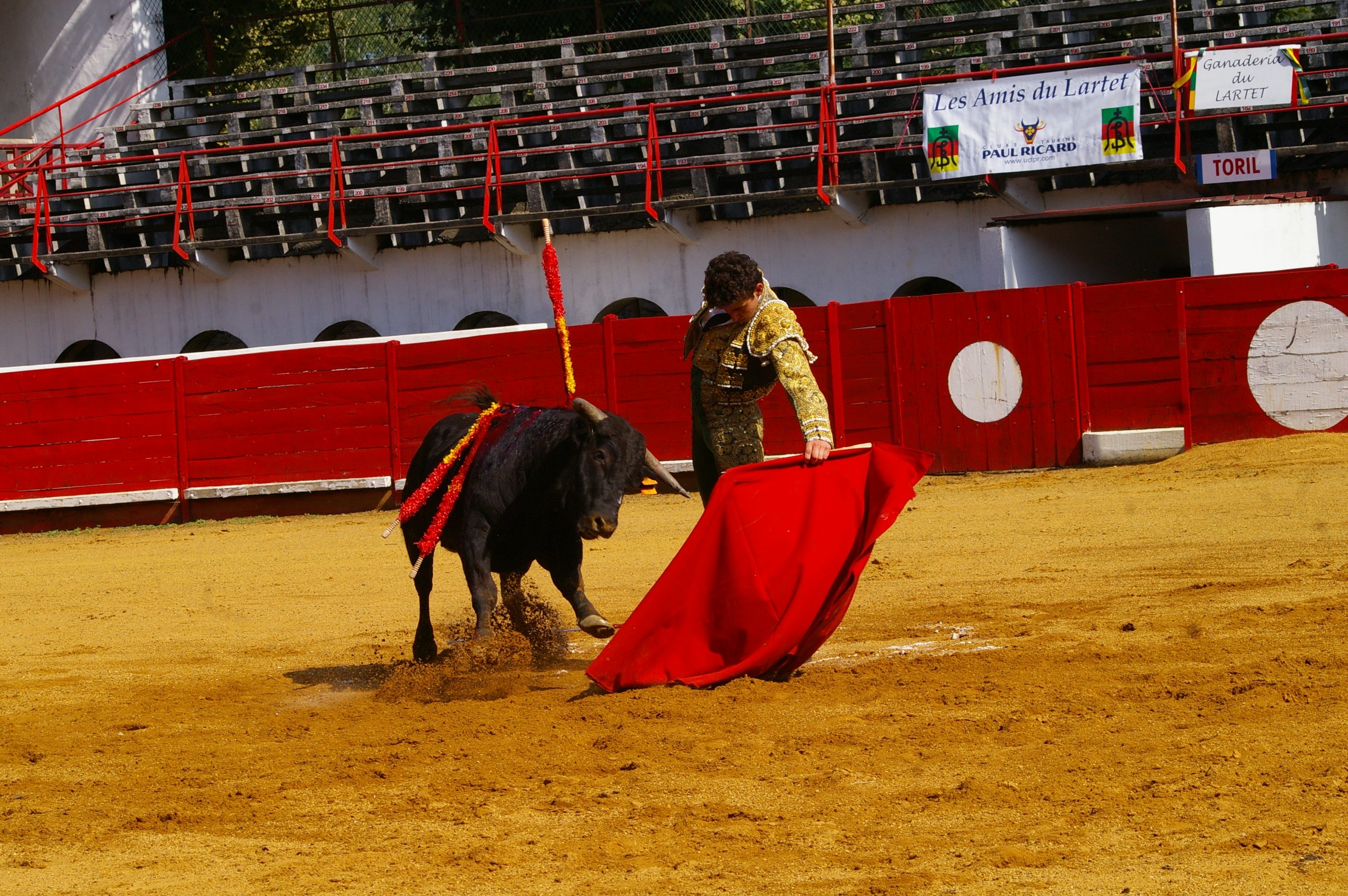 IMGP6652.JPG