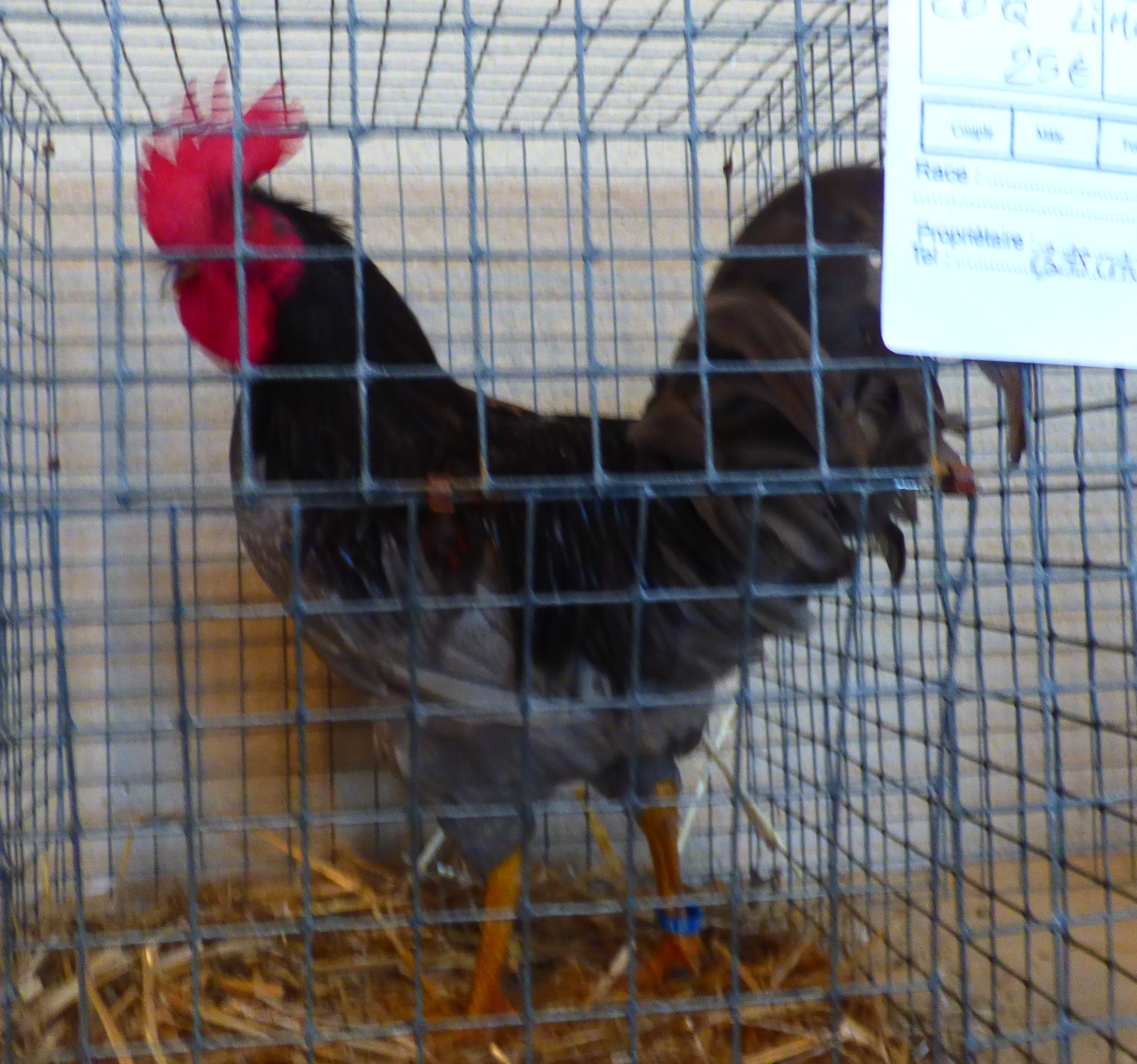 P1050637.JPG