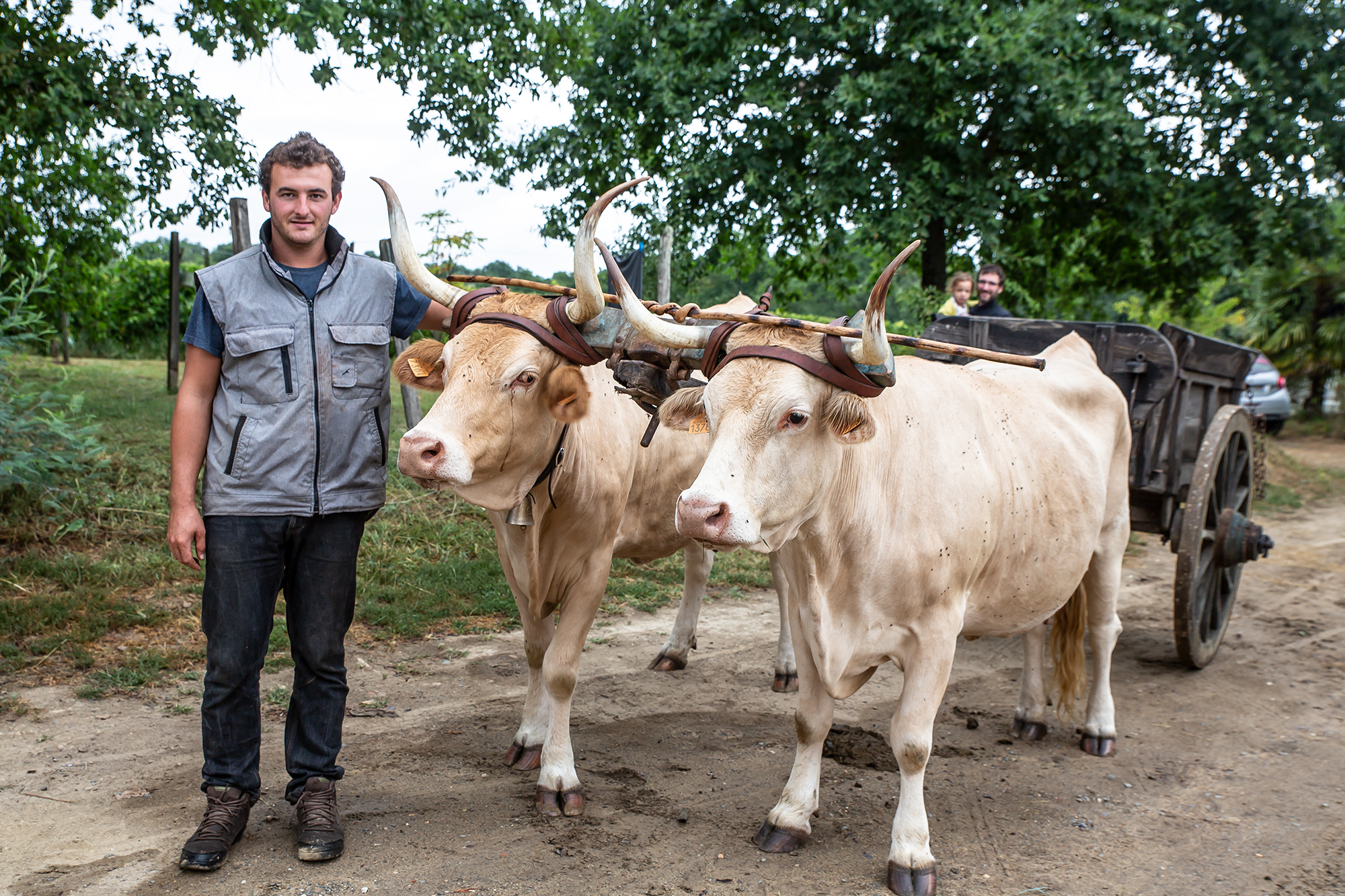 2 Char à bœufs pour les balades 1bis 090818.jpg