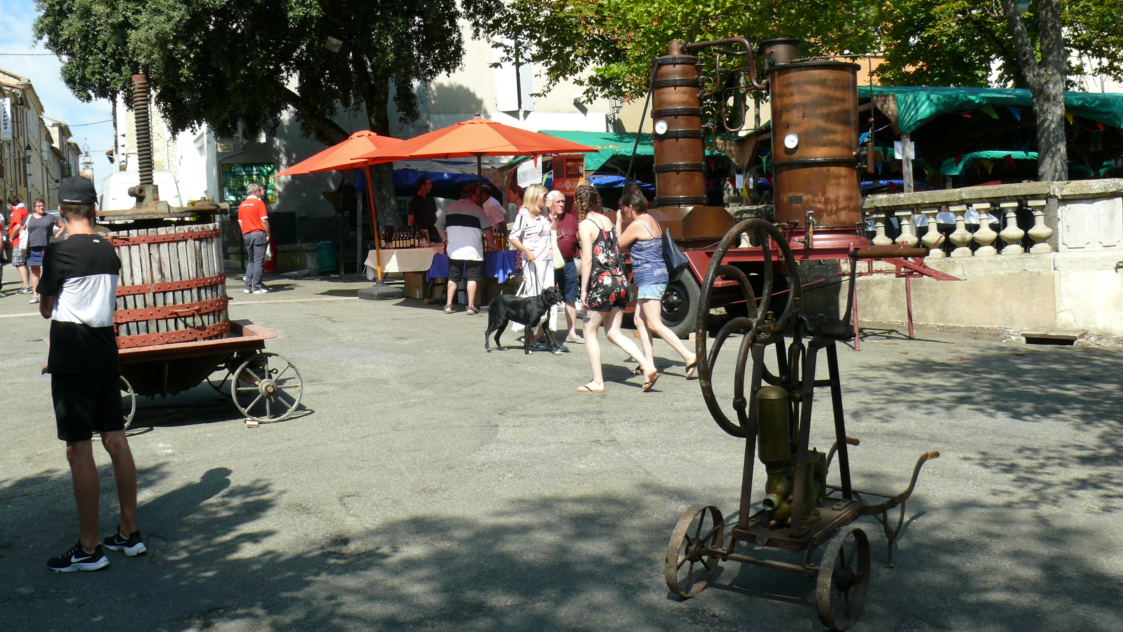 P1460395.JPG