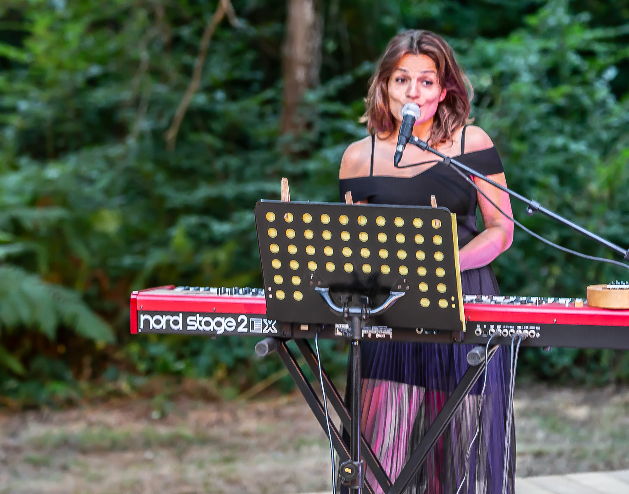 4 Stéphanie chante et joue 1bis 070818.jpg
