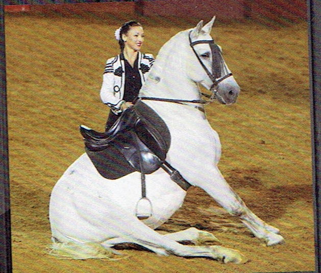 cavalière.jpg