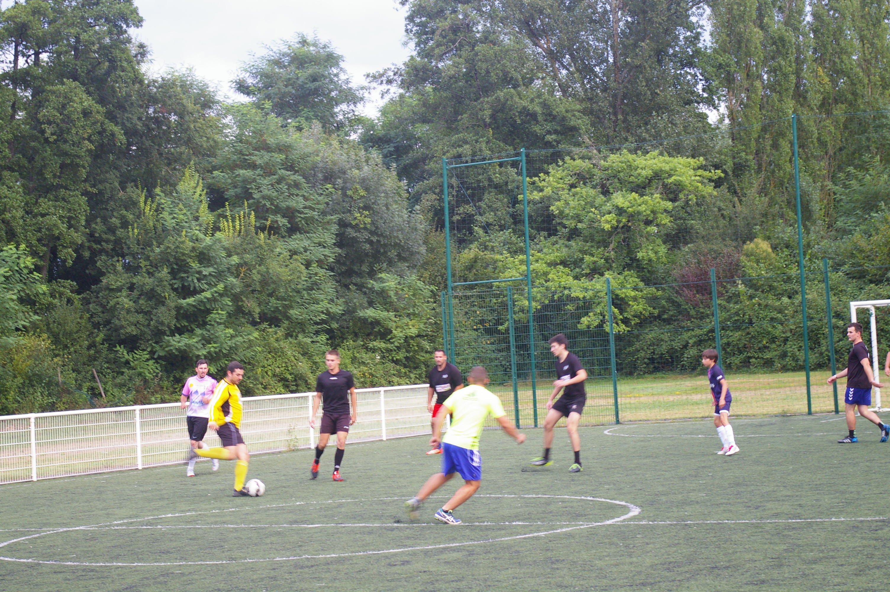 IMGP6707.JPG