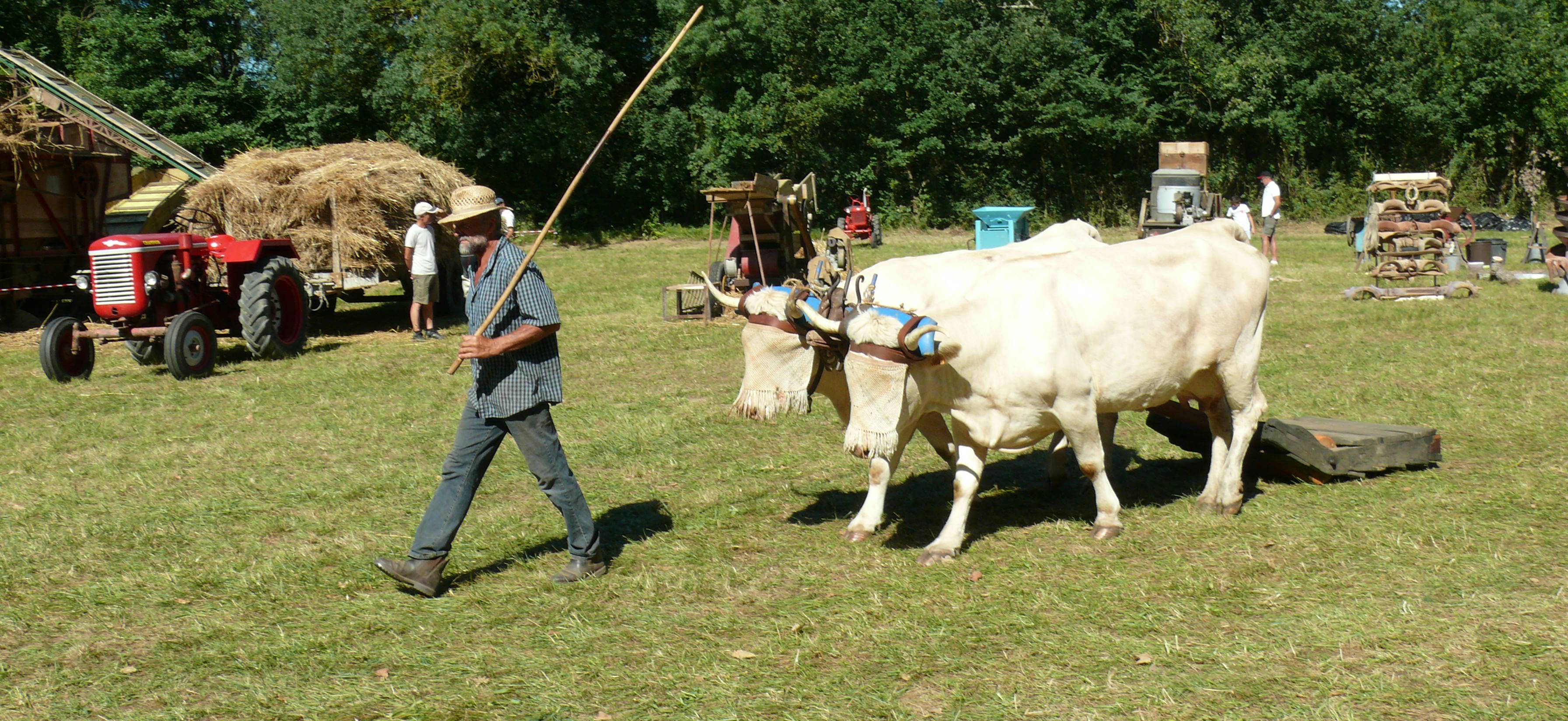 P1460473.JPG