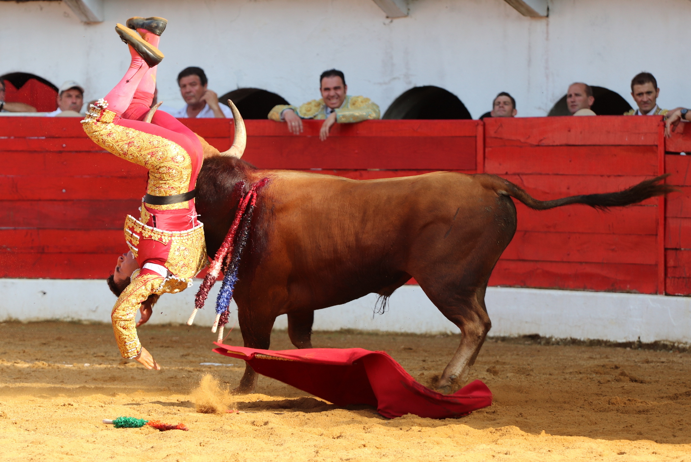 chute.JPG