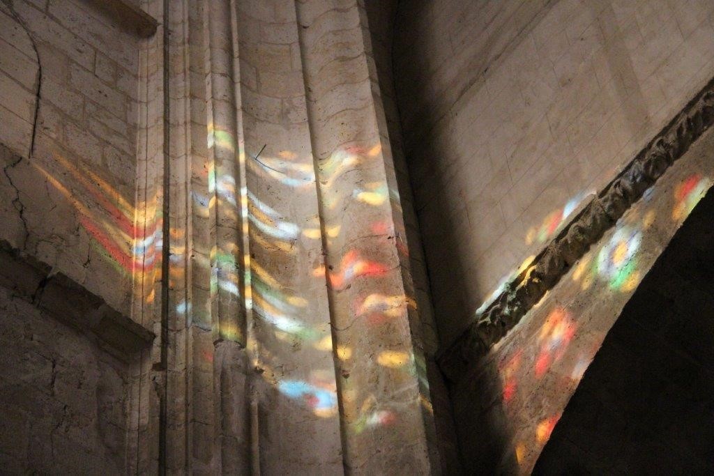 IMG_1257.jpg