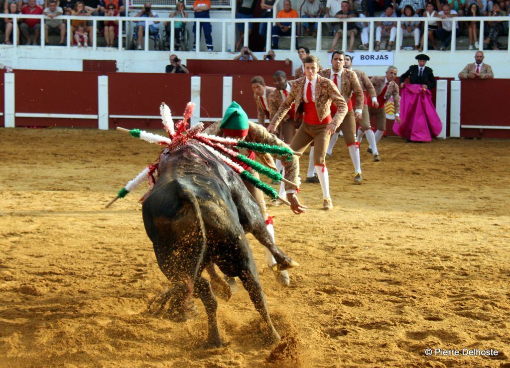 forcados 3 .jpg