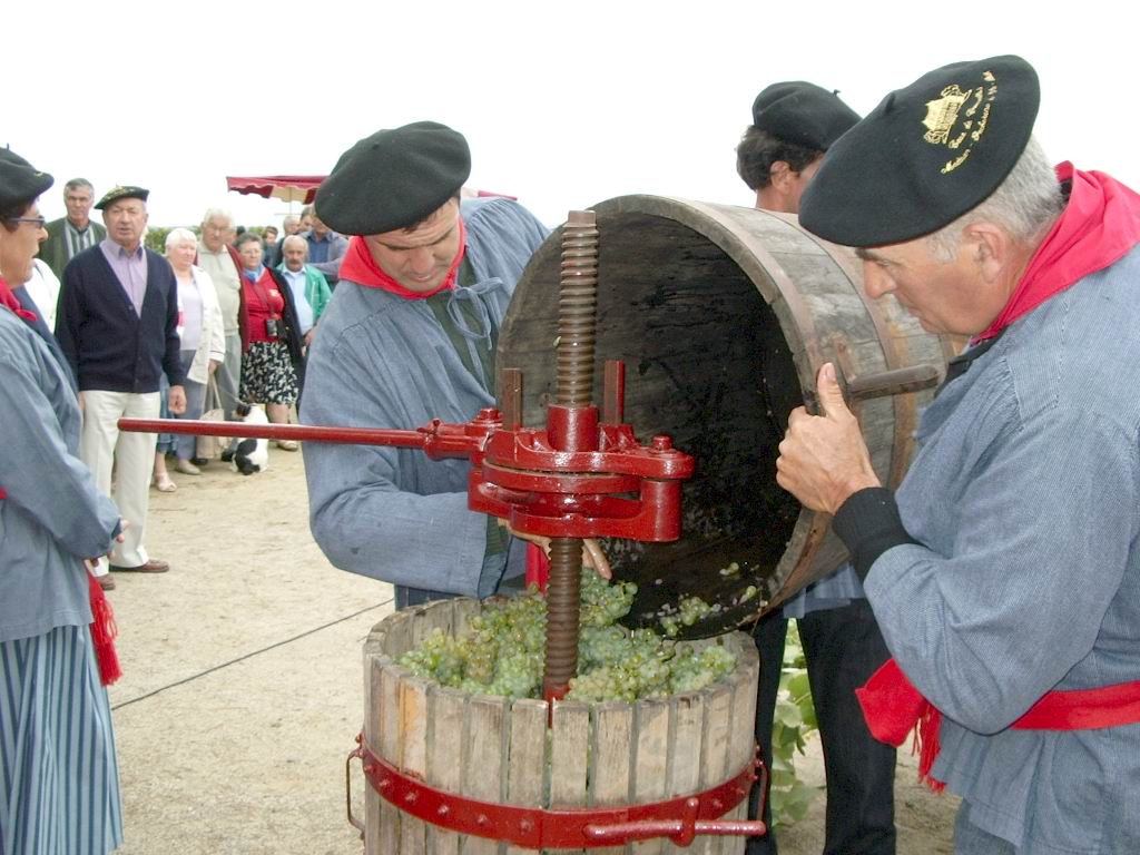 Nouvelle exposition CROUSEILLES FETE DES 1ere VENDANGES 2008 SEPTEMBRE 021.JPG