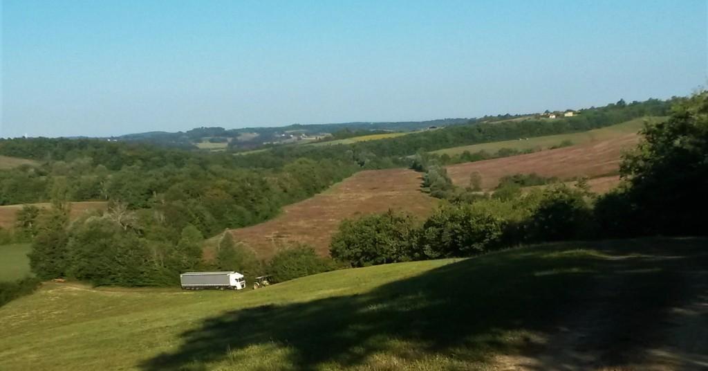 20180903_090342.jpg