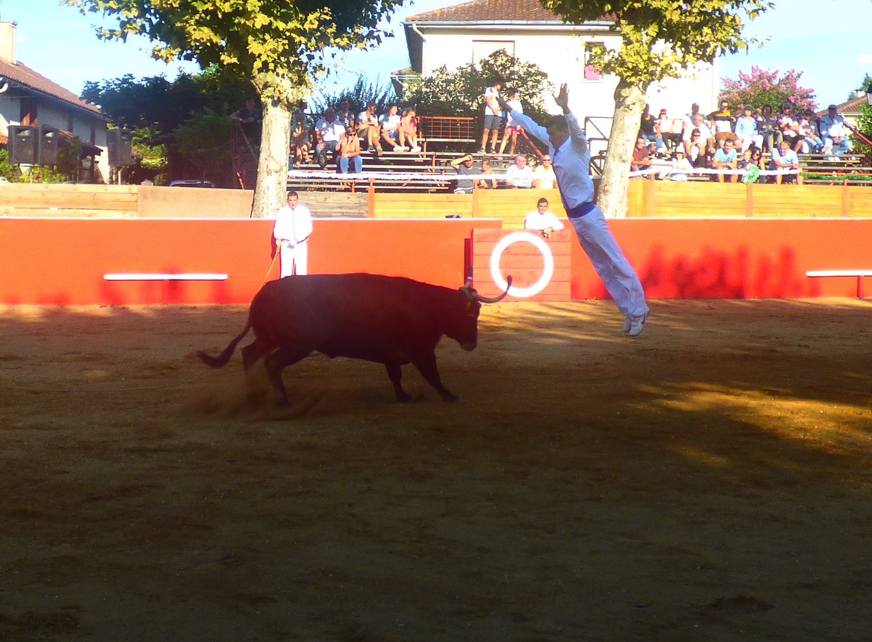 P1050806.JPG