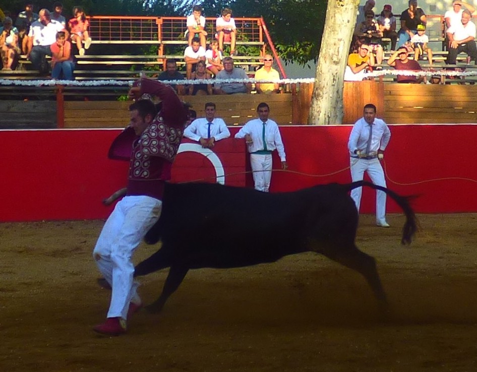 P1050819.JPG