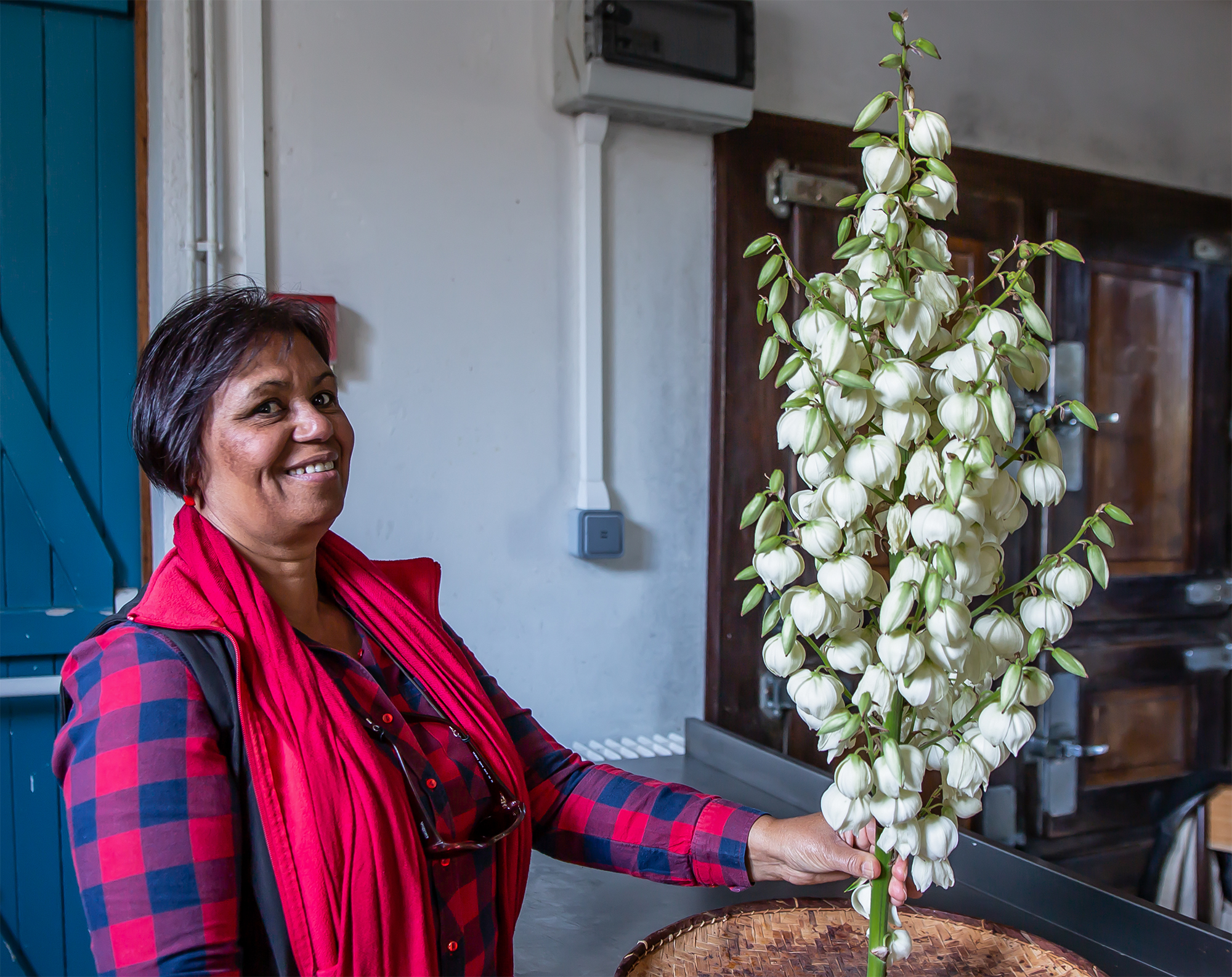 2 Les fleurs de yucca qui vont être préparées 1bis 031018.jpg