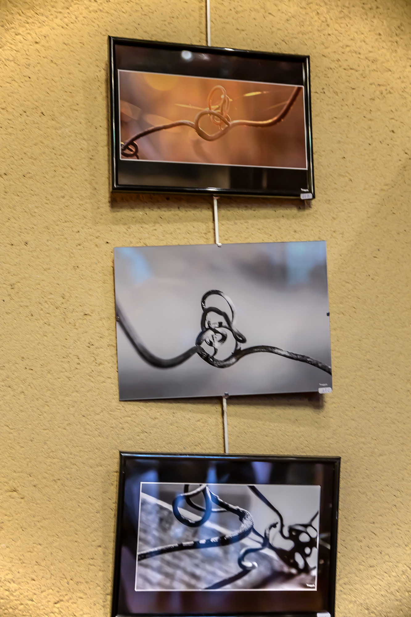 7 Photo Traquin 1bis 101118.jpg