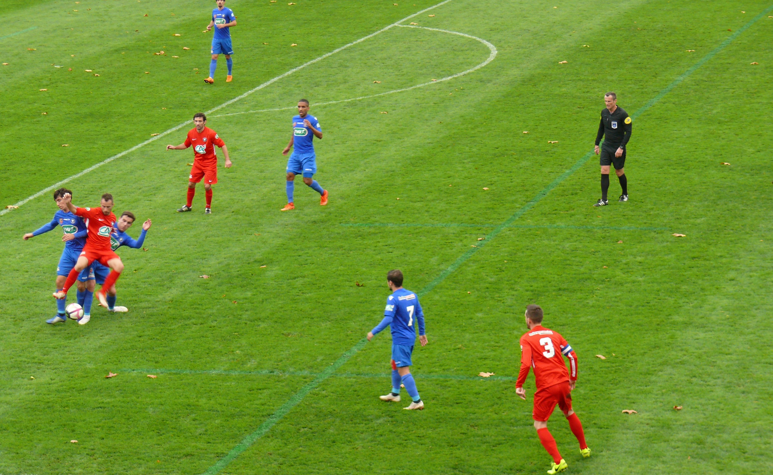 P1500517.JPG