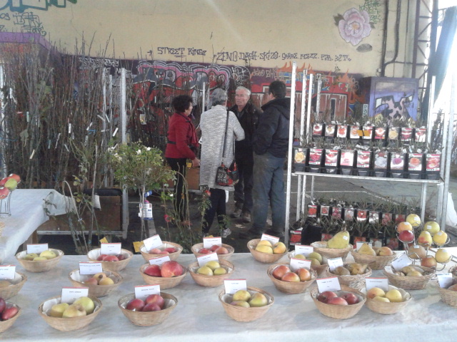 Foire Ste Catherine Auch.jpg