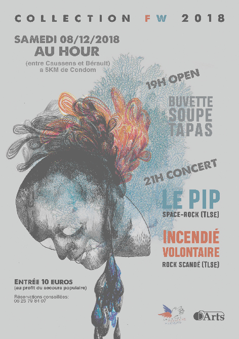 Concert du HOUR.jpg
