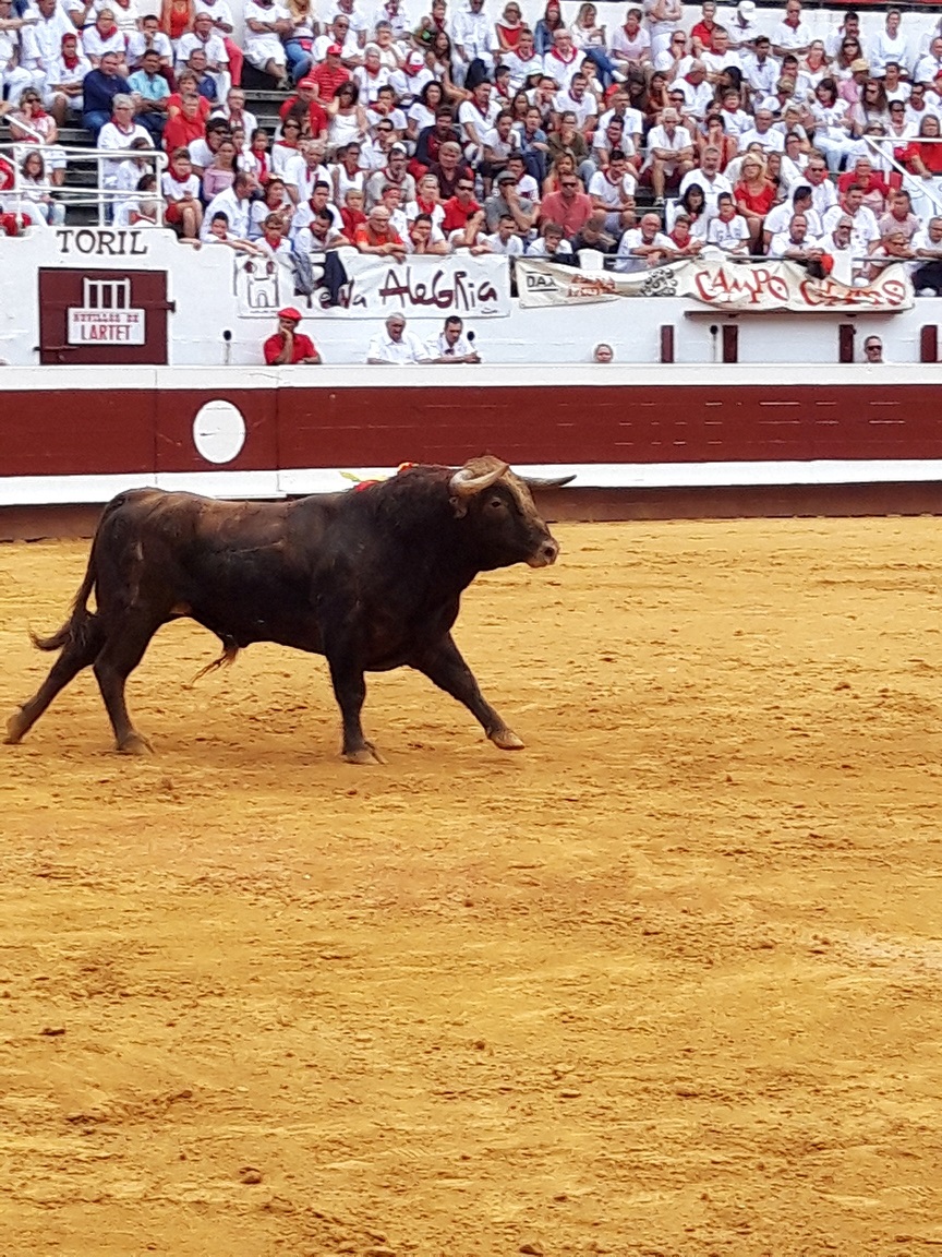Toréé par Solalito.jpg