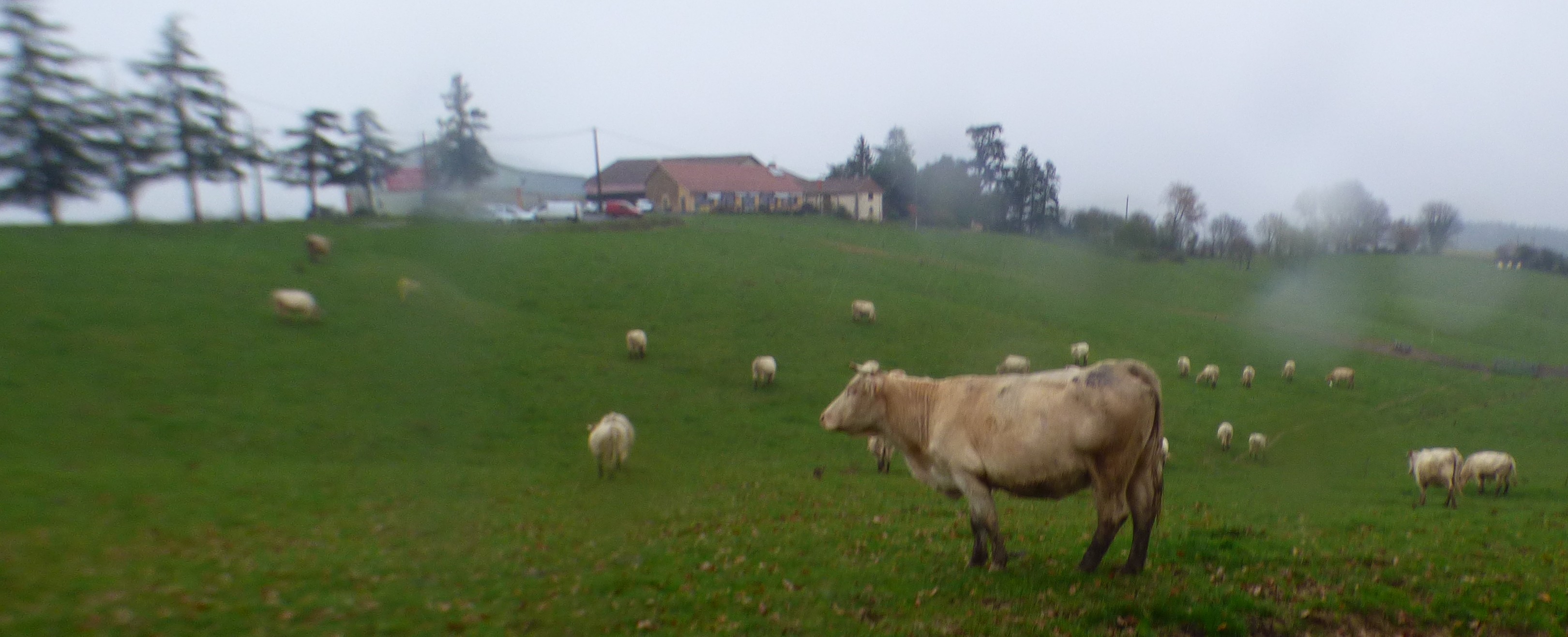 P1060980.JPG