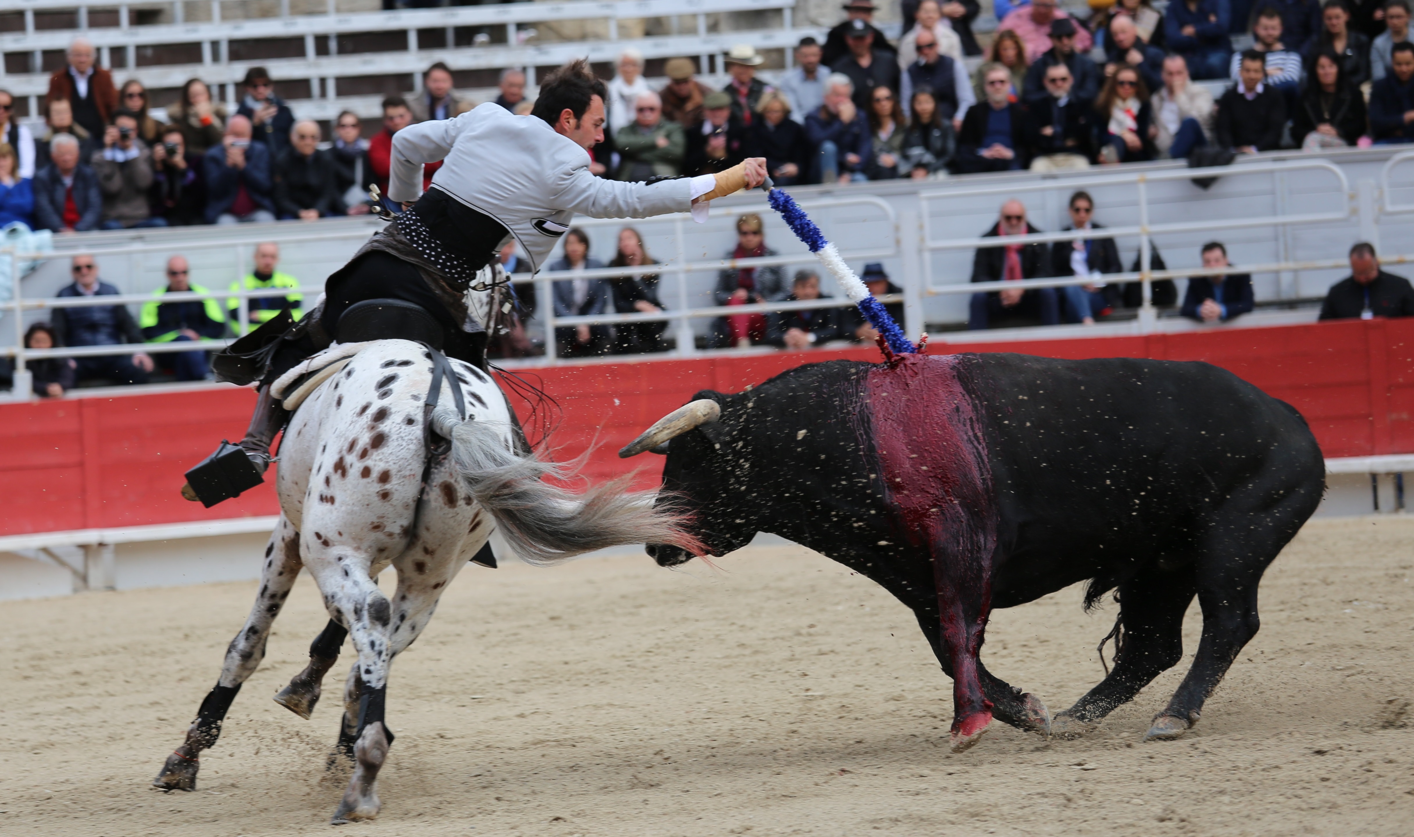 cheval.JPG