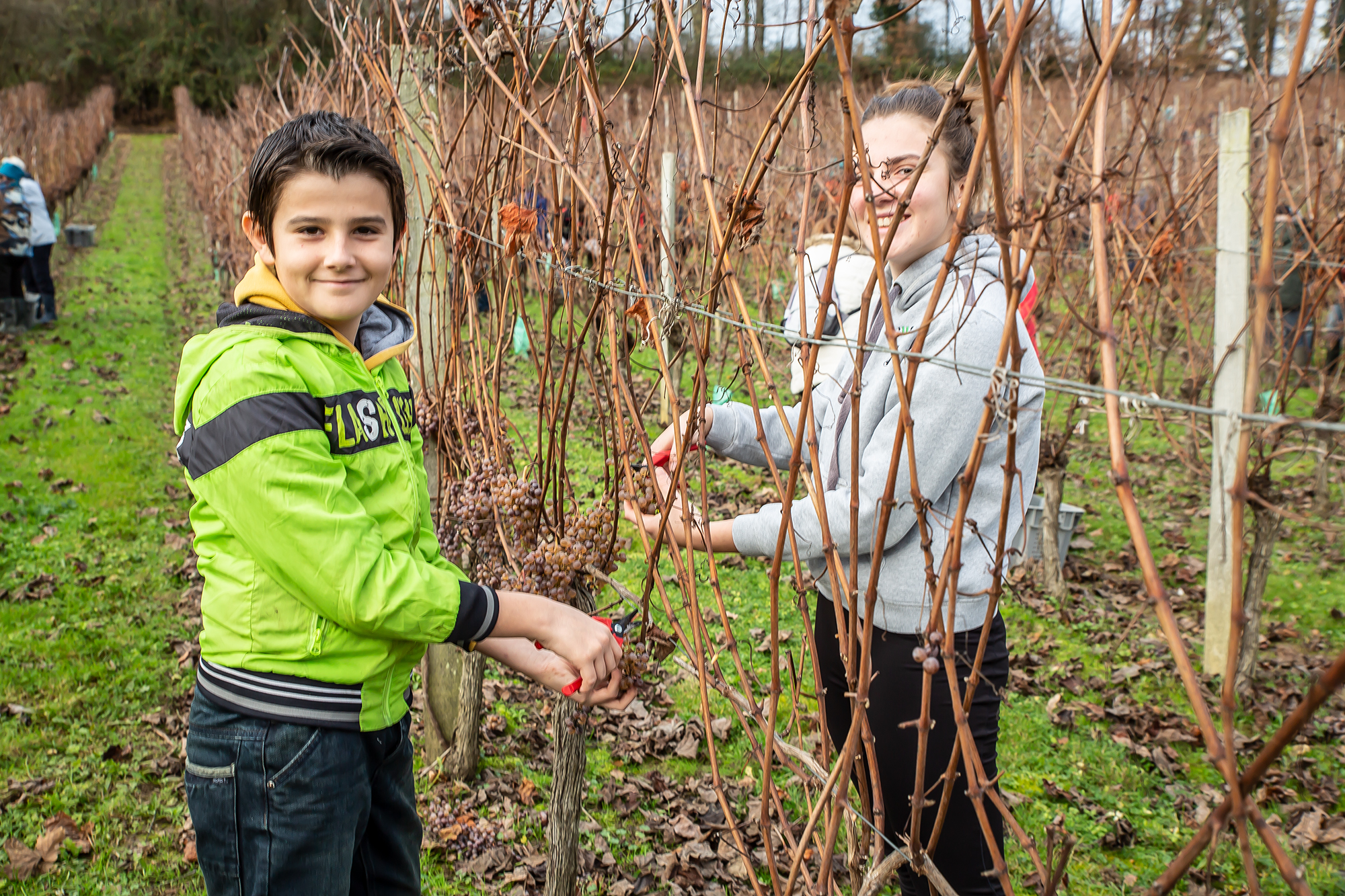 12 Les petits vendangeurs 1bis 221218.jpg