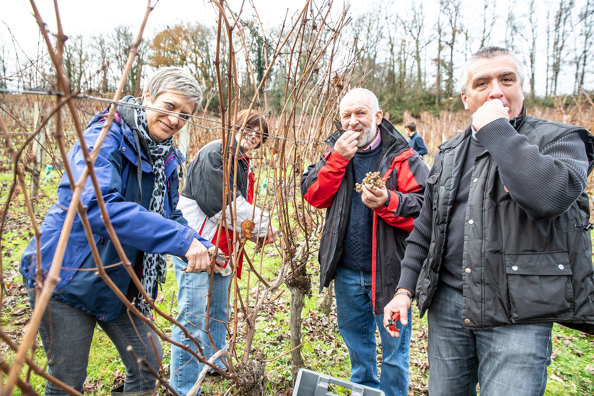 10 vendangeurs 1bis 221218.jpg