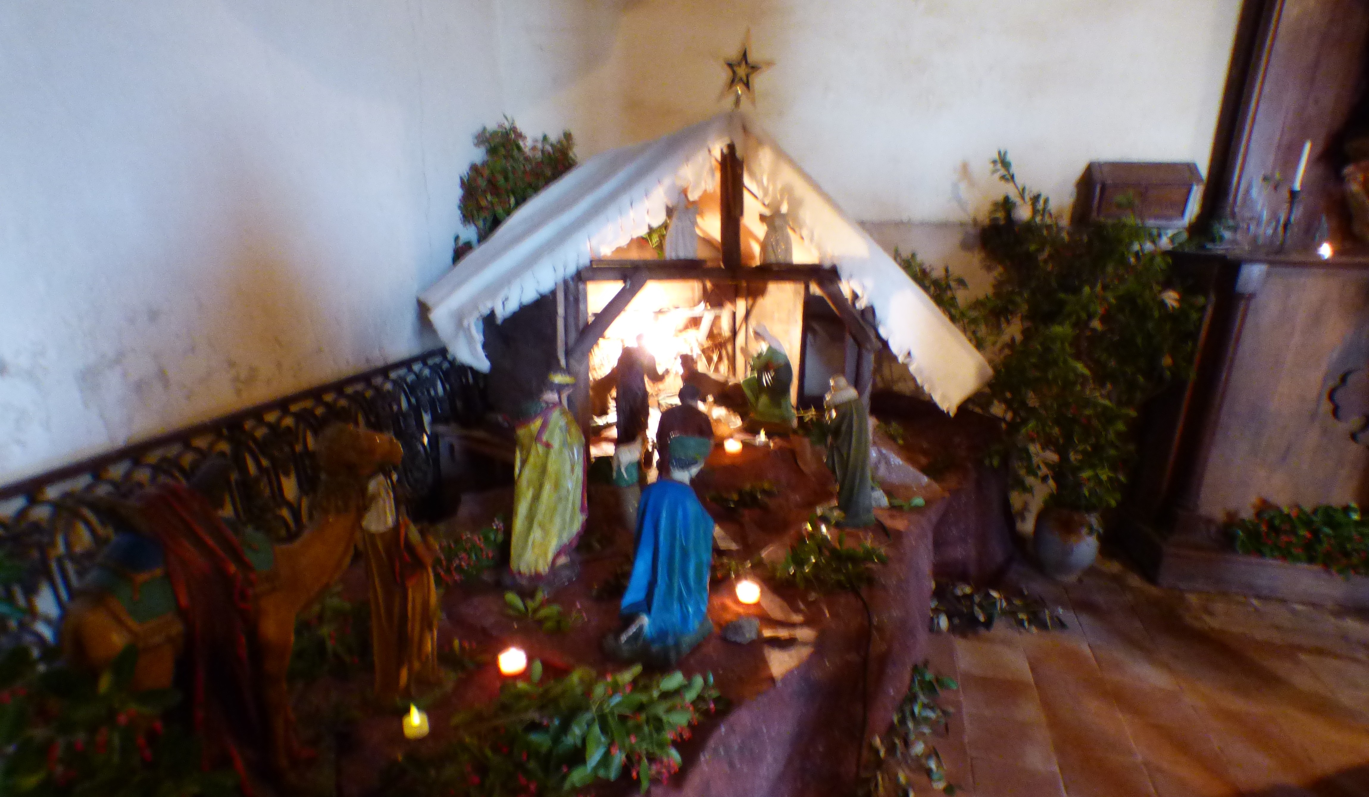 P1070235.JPG