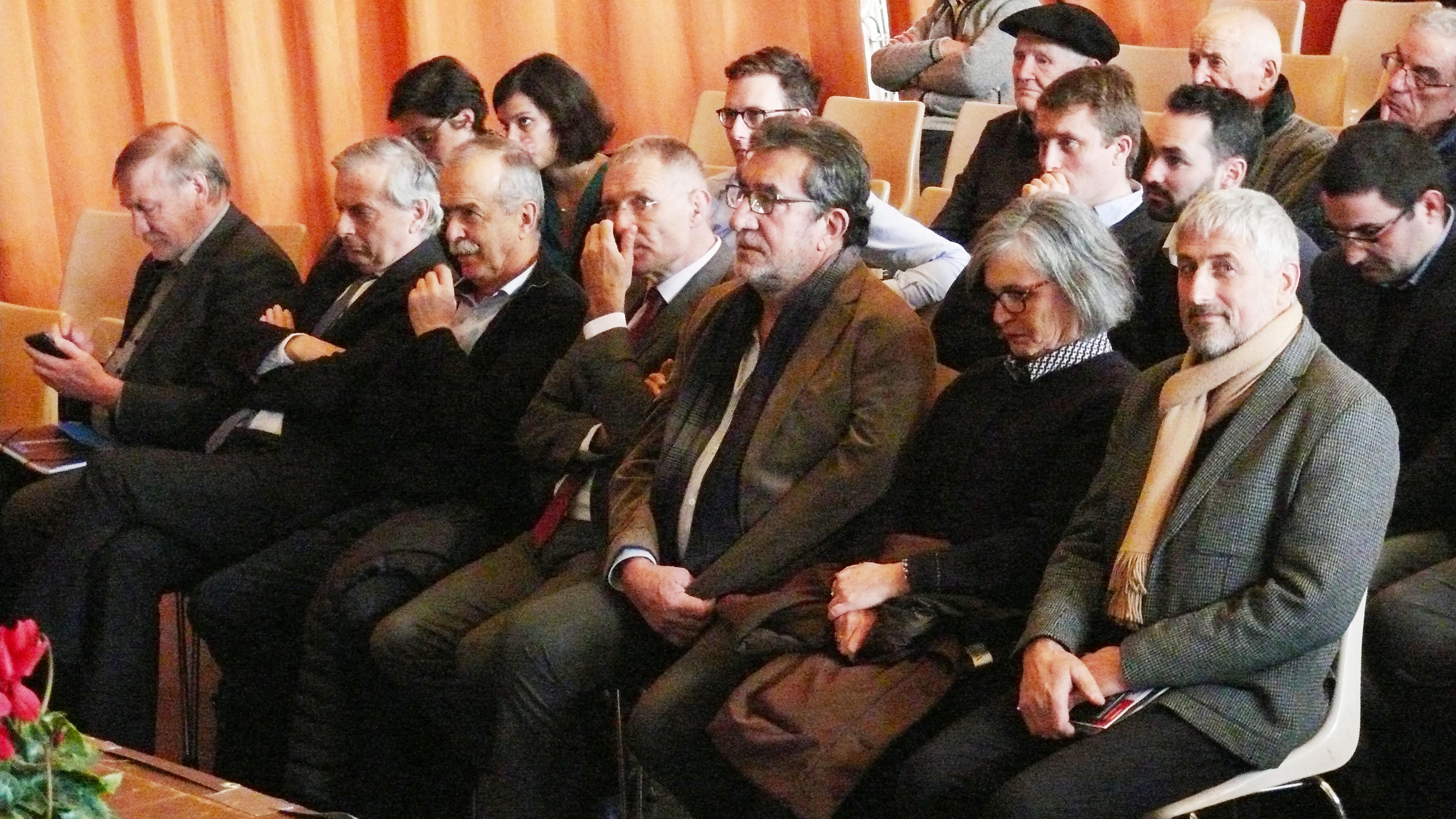 P1520243.JPG
