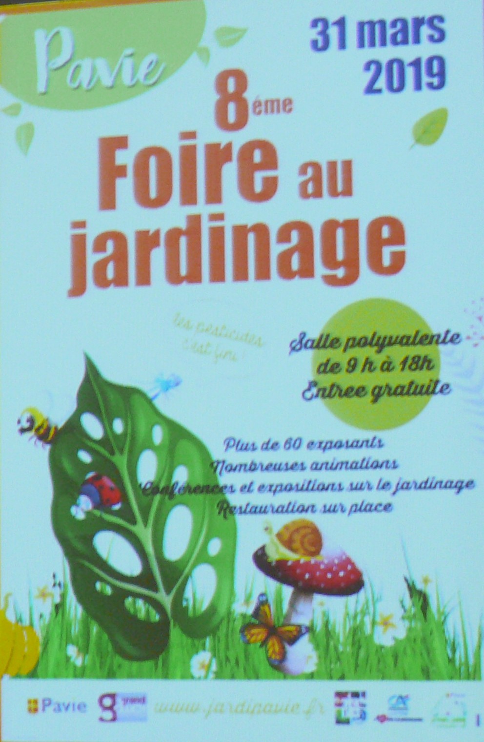 P1520520.JPG