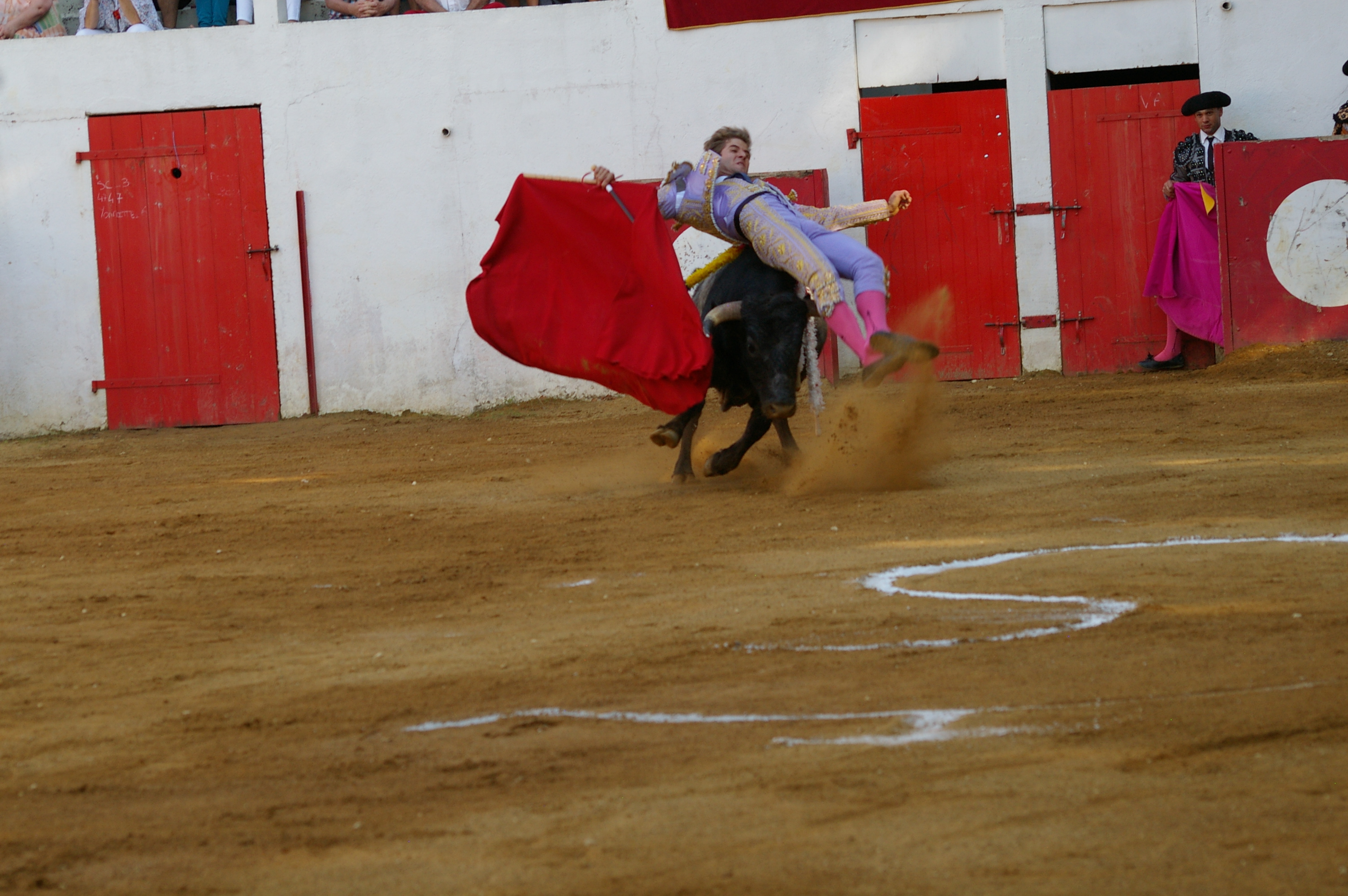 IMGP6590.JPG