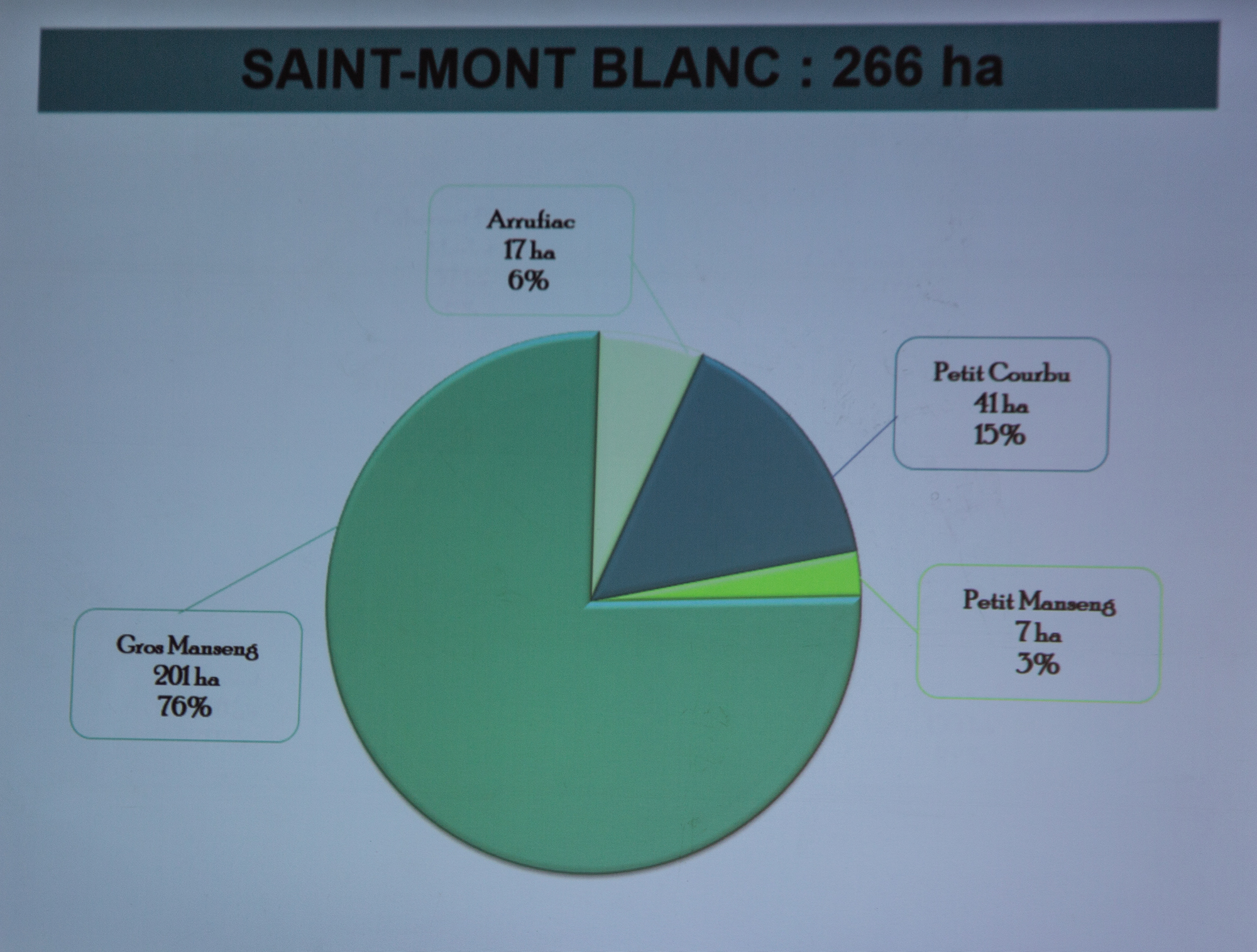 9 Plantation de blanc 1bis 300119.jpg
