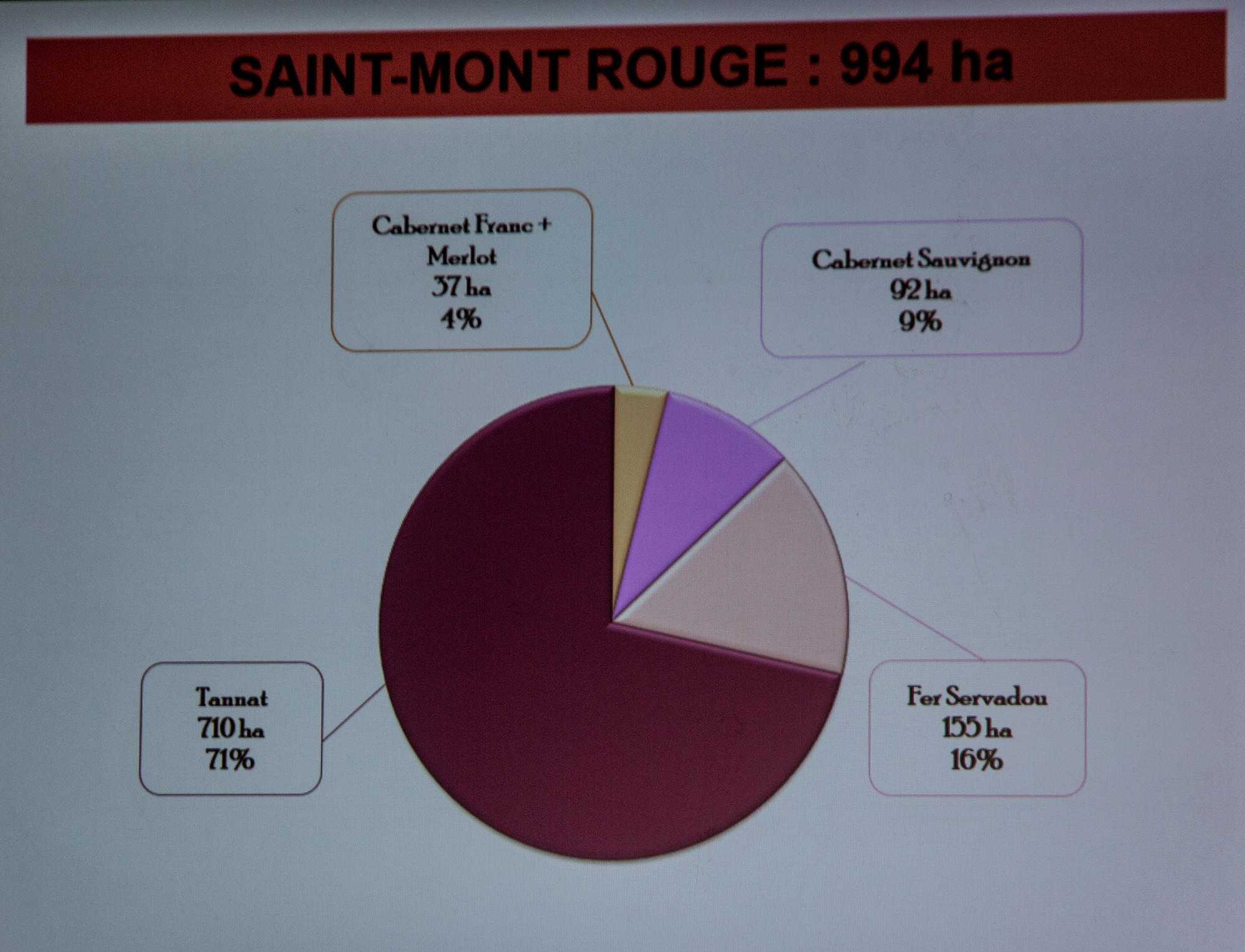8 Plantation de cépages rouges 1bis 300119.jpg