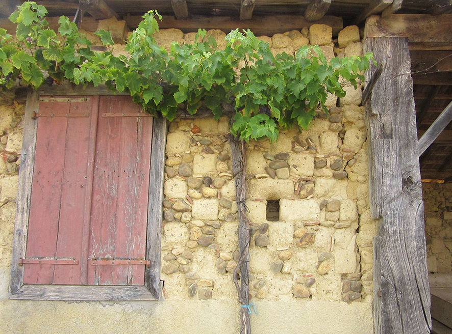 sauviac damier treille.JPG