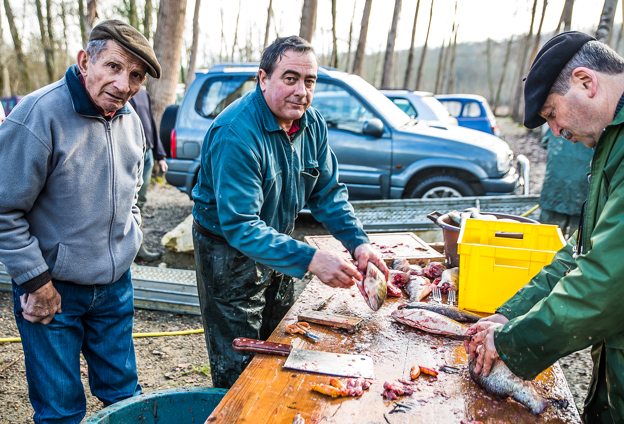 5 Préparation des poissons 2bis 300116.jpg