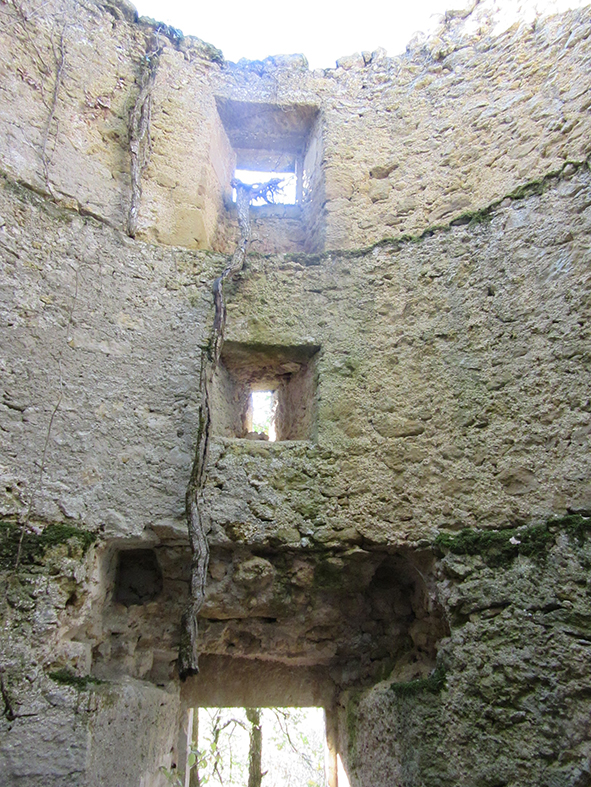 IMG_6128.JPG