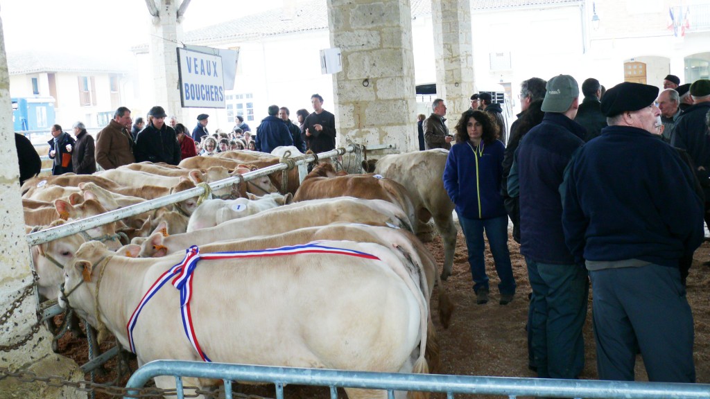 P1530178.JPG