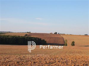 PERFARMER-LOGO-300x221.jpg