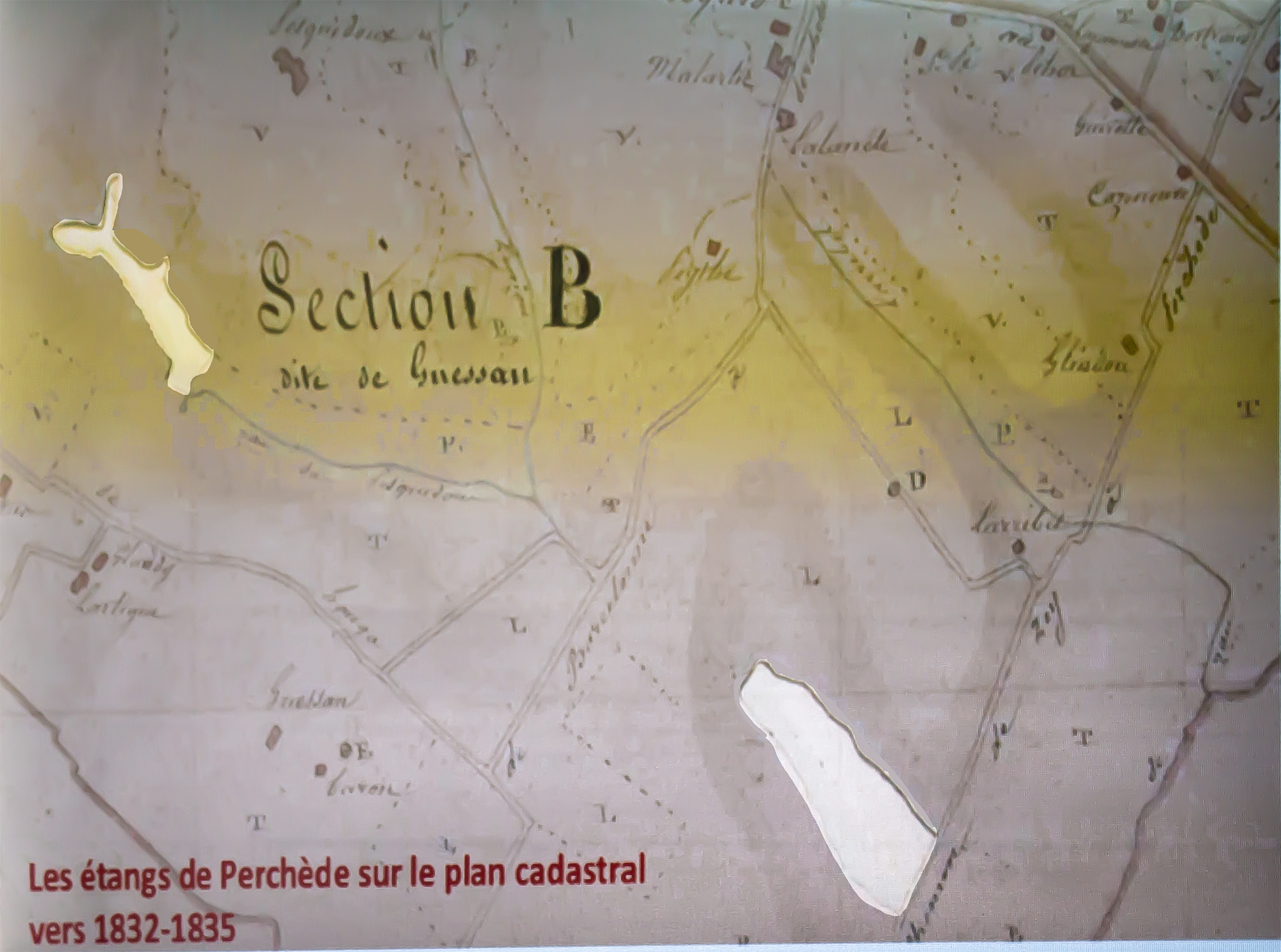 6 Les 2 étangs de Perchède sur le relevé cadastral de 1832 projeté par Jacques Lapart 1bis 230219.jpg