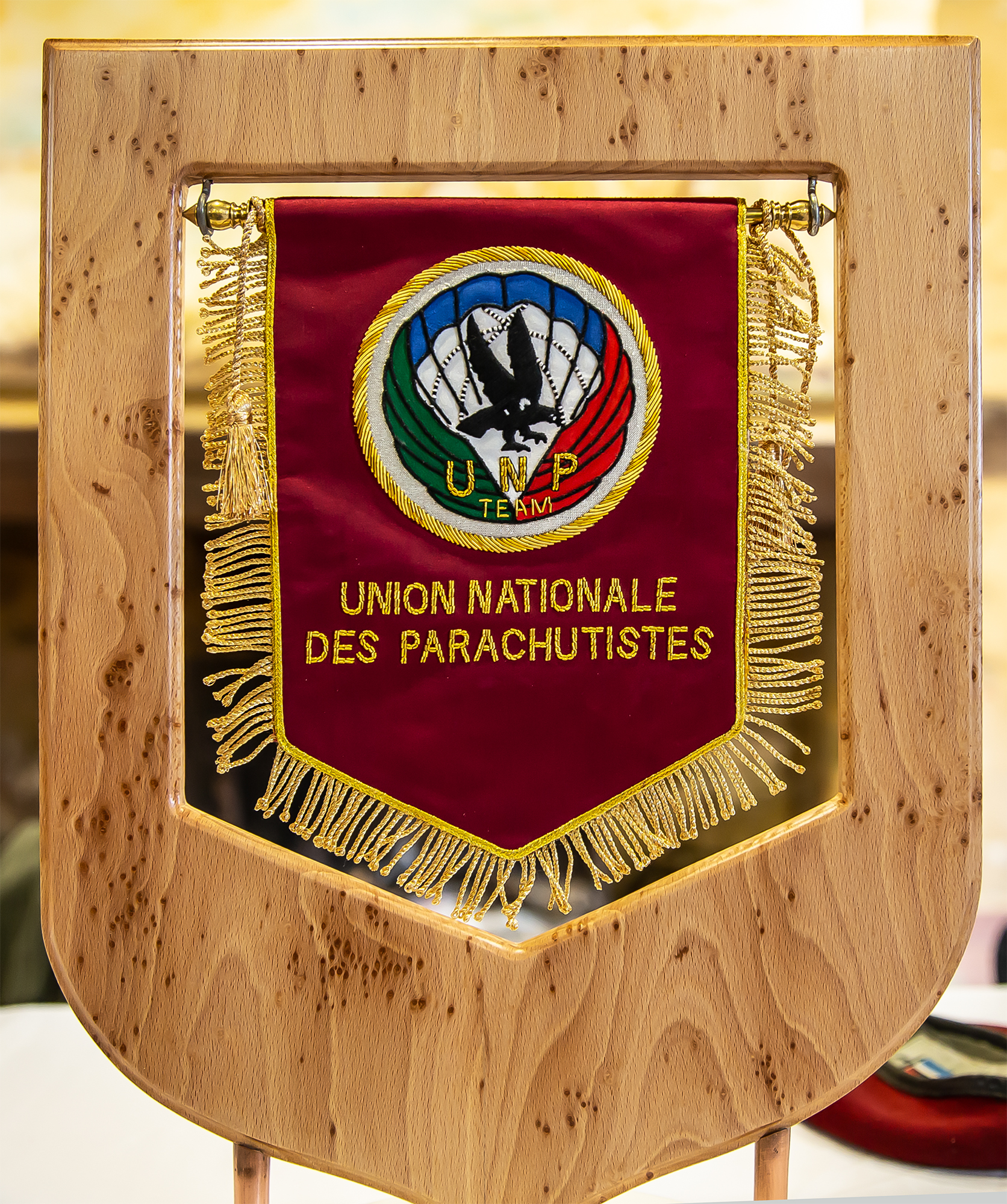 2 Fanion de l'UNP 1bis 020319.jpg